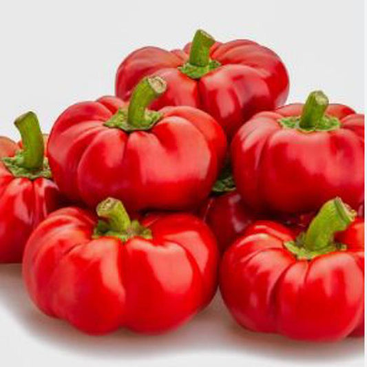 Pepper Topepo Rosso Approx.30 Seeds