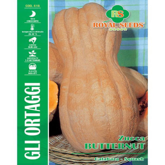 LARGE BUTTERNUT PUMPKIN  Approx. Seeds Gram-4