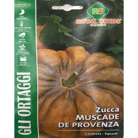 MUSCADE DE PROVENZA PUMPKIN SEEDS Squash Approx. Seeds Gram-4