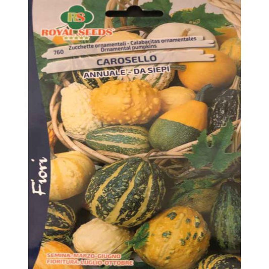 ORNAMENTAL PUMPKINS CAROUSEL Approx. Seeds Gram-4