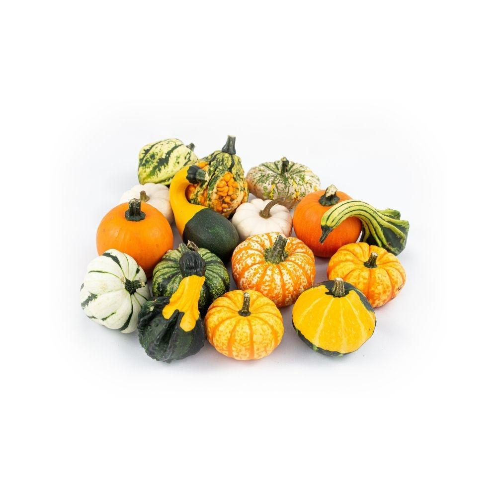 Pumpkins ORNAMENTALI Gram-2