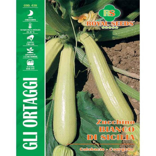 MAXI SICILIAN WHITE ZUCCHINI Approx. Seeds Gram-9