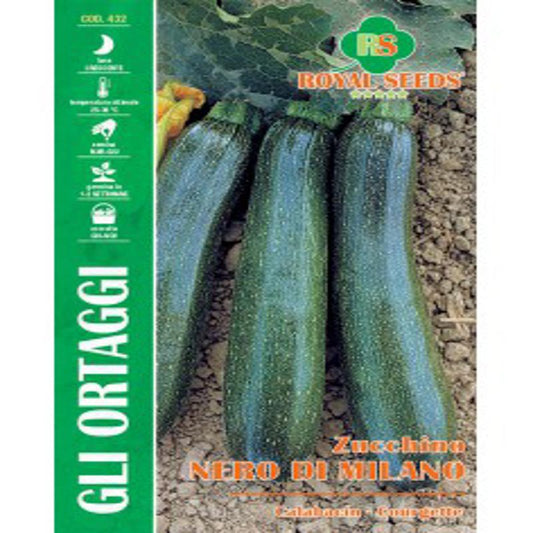 Zucchini BLACK MILAN COURGETTE long and dark fruits Approx. Seeds 9gram