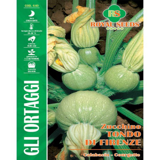 MAXI FLORENCE ROUND COURGETTE Zucchini Gram-7 Approx. Seeds