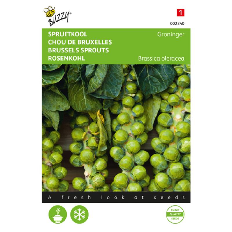 Buzzy Brussels Sprouts 002340