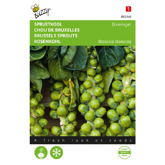 Buzzy Brussels Sprouts 002340