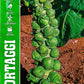 Royal Brussels Sprout