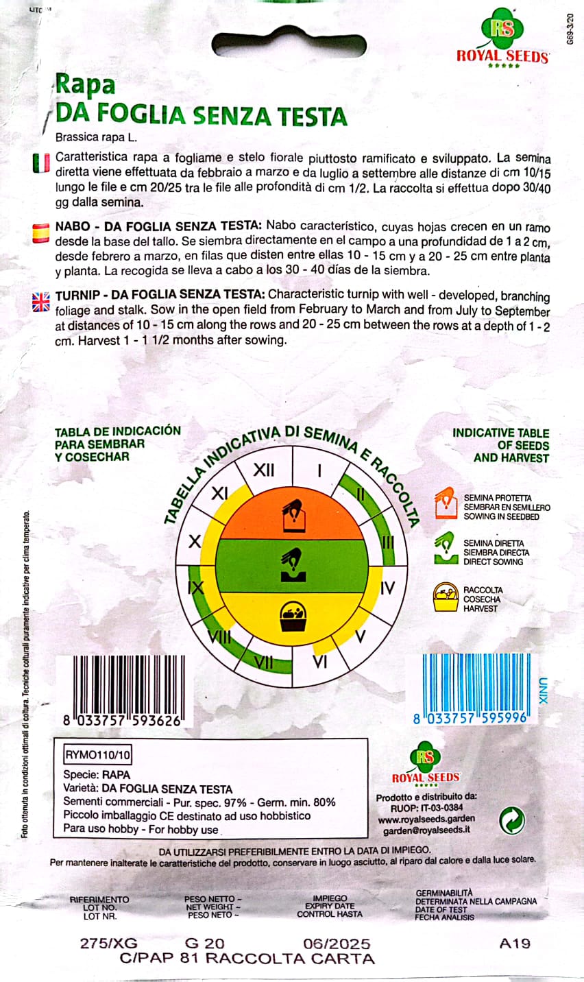 Royal Turnip Rapa Da Forlia Senza Testa 110/10