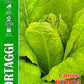 Royal Lettuce Bionda Lentissima A Montare 224