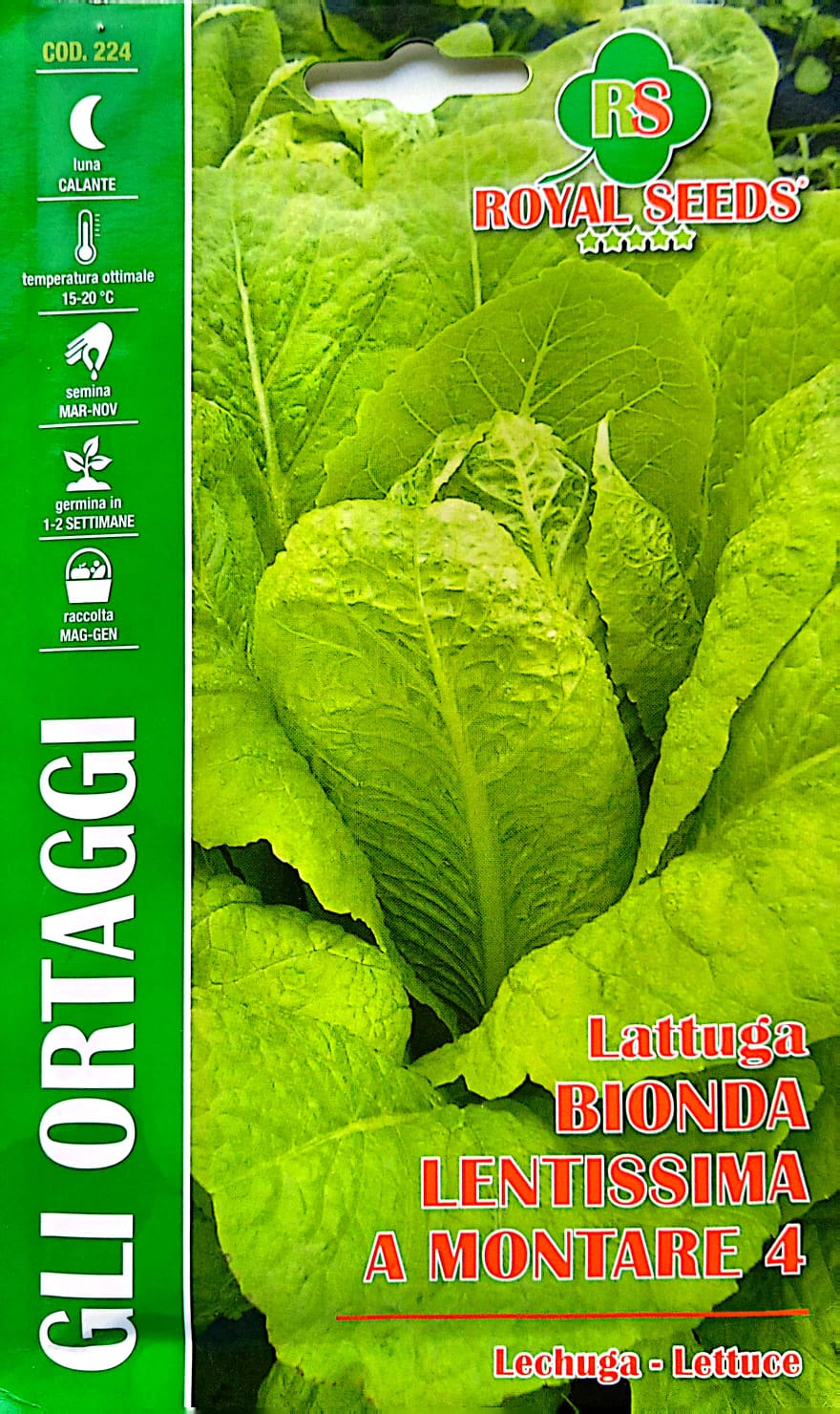 Royal Lettuce Bionda Lentissima A Montare 224
