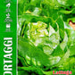 Royal Lettuce Regina Di Maggio 246