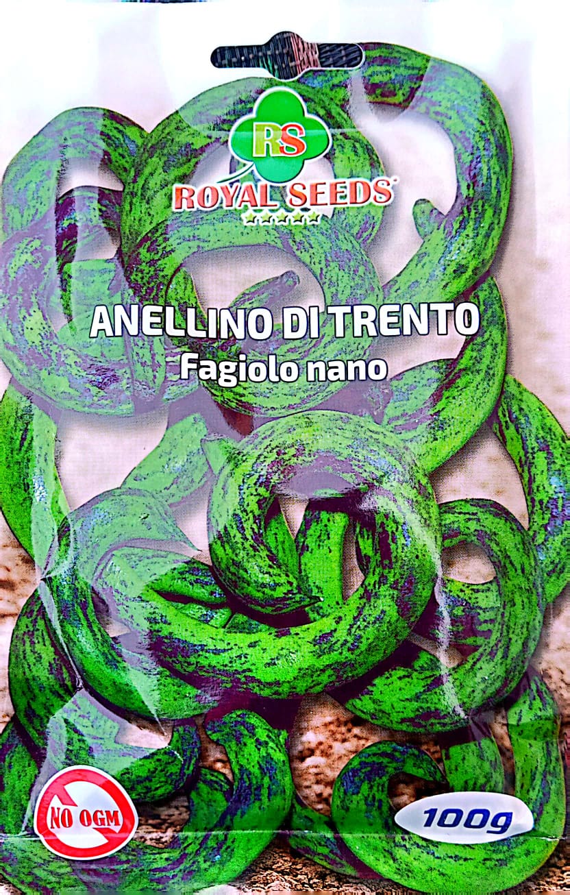 Royal Dwarf Beans-Anellino