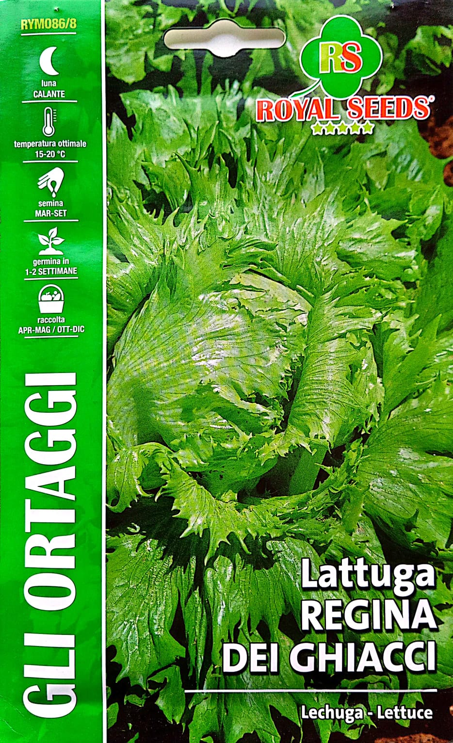 Royal  Lettuce Regina Dei Ghiacci 86/8
