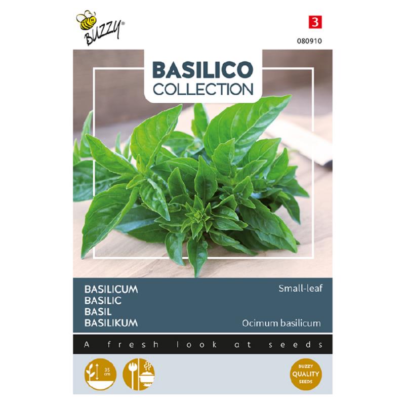 Basil Small Leaf 080910
