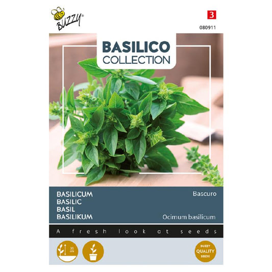 Buzzy Basil Bascuro 080911