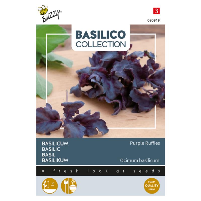Basil Purple Ruffles 080919