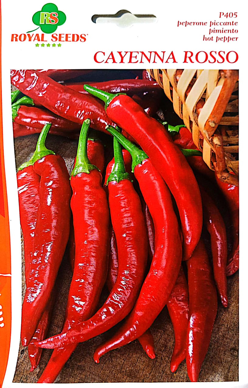 Royal Hot Pepper Cayenna Rosso 405