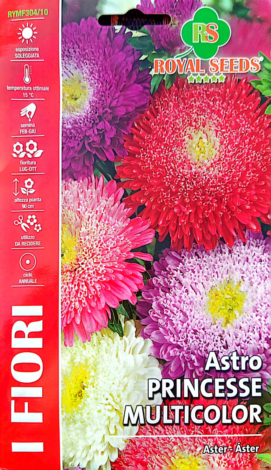 Royal Double Aster RYMF304/10