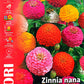 Royal Zinnia Nana Thumbelina Mixed 358/10