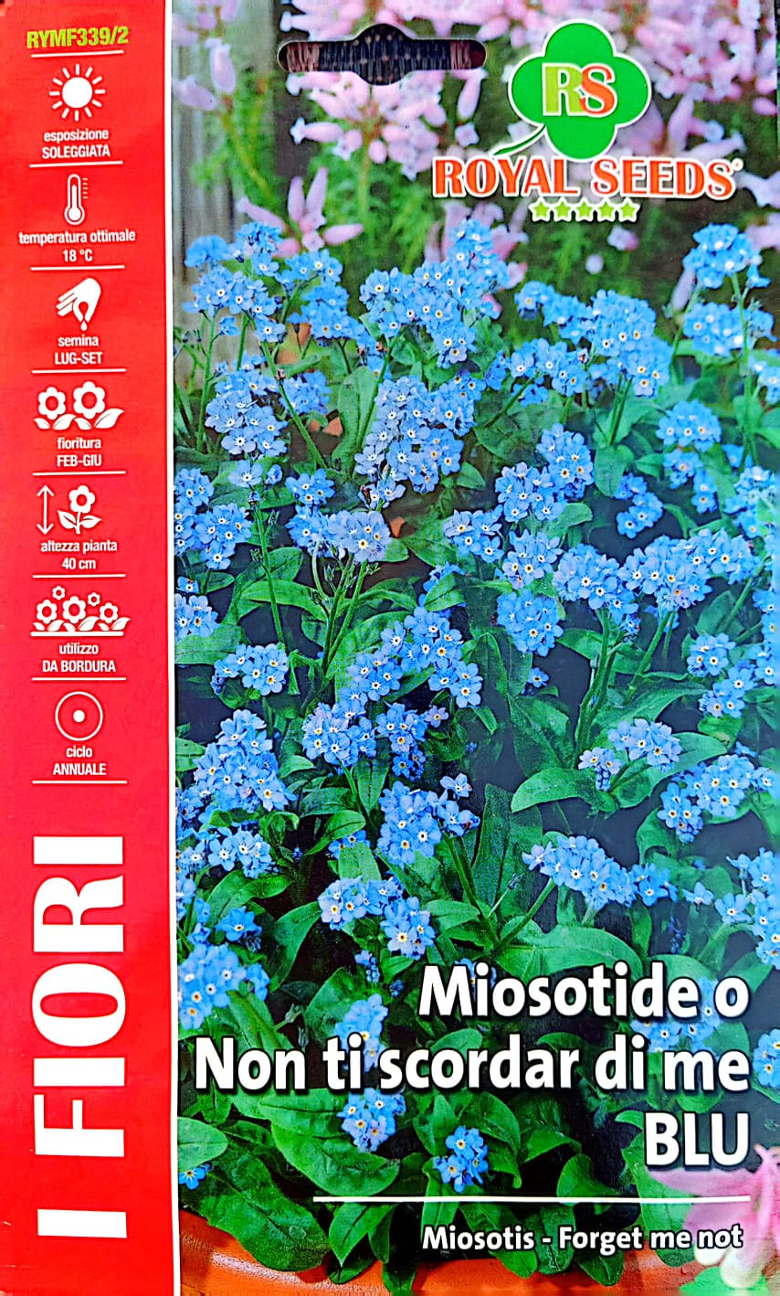 Royal Forget Me Not RYMF339/2