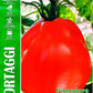 Royal Tomato Sel.Periforme 330