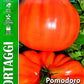 Royal Tomato Cuor Di Bue 106/26