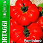 Royal Tomato Costoluto Fiorentino 106/18