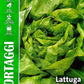 Royal Lettuce Trocadero La Preferita 79/12