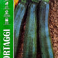 Royal Zucchini 146/1