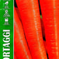 Royal Carrot Berlikumer 2