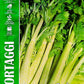 Royal Celery Dorato Dasti 124/19