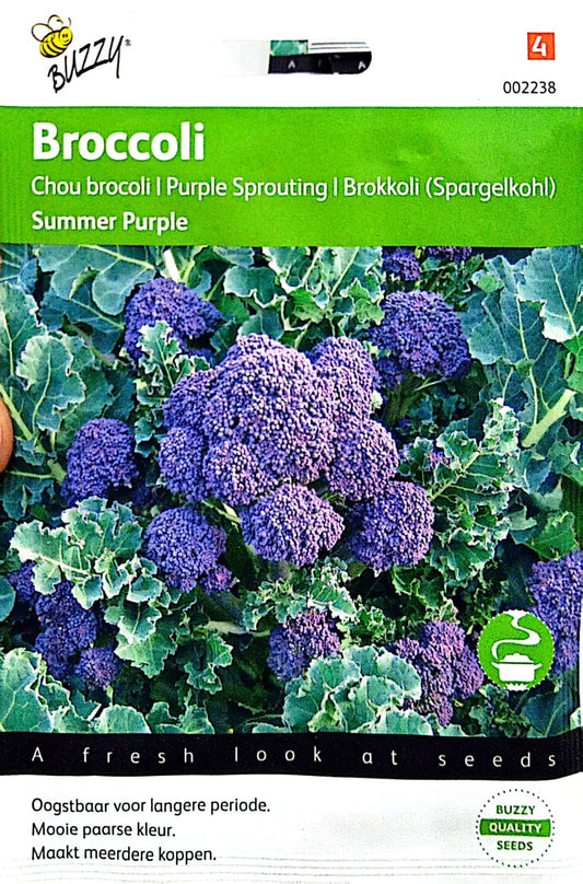 Broccoli Purple 002238