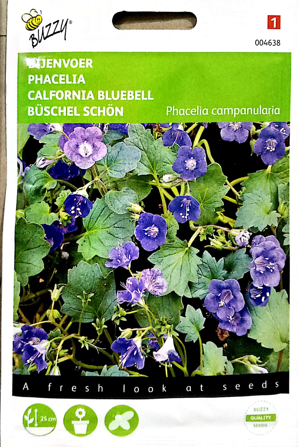 CALFORNIA BLUE BELL 004638